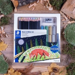 Set Blanco Y Negro Staedtler X 17 Piezas