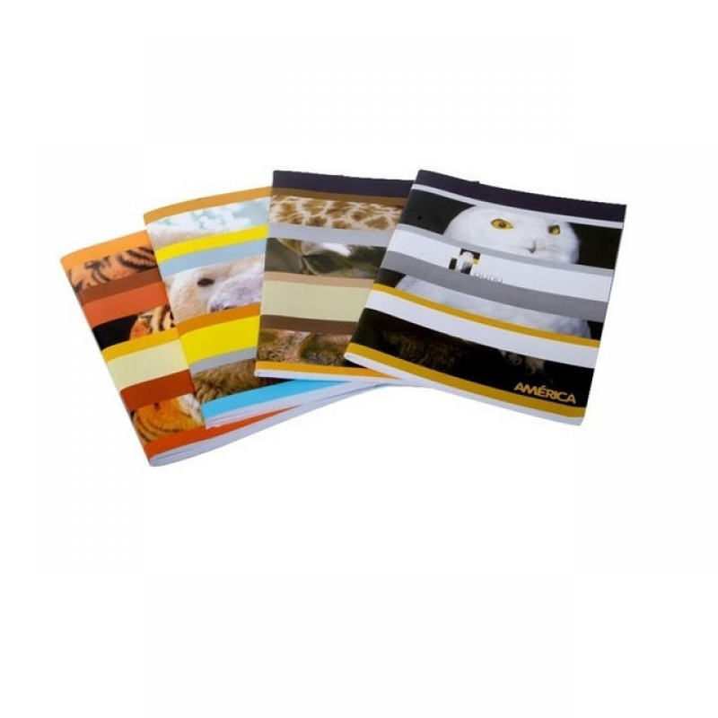 CUADERNO AMERICA FLEXIBLE X 48 HJ RAYADO CUADERNO AMERICA FLEXIBLE X 48 HJ RAYADO