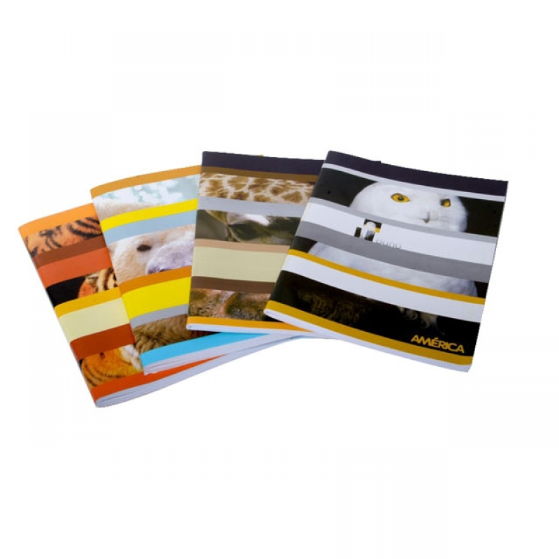 CUADERNO AMERICA FLEXIBLE X 24 HJ LISO
