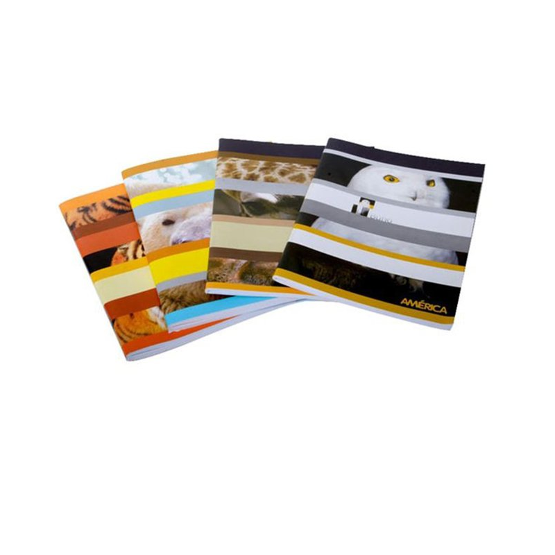 CUADERNO AMERICA FLEXIBLE X 24 HJ RAYADO