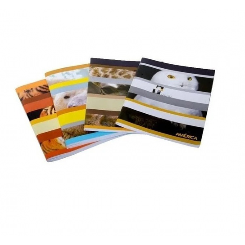 CUADERNO AMERICA FLEXIBLE X 86 HJ RAYADO